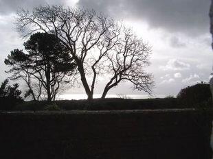 Picture 8