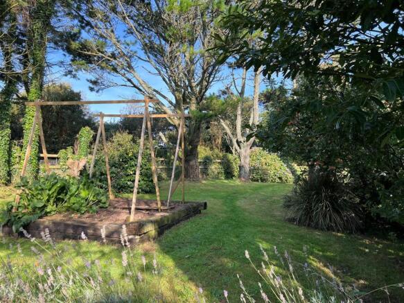 rear garden.jpg