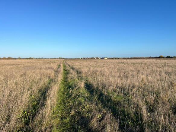 Western Boundary