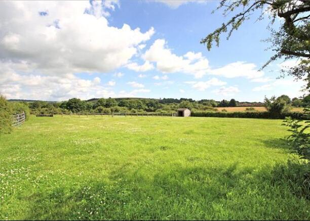 Field