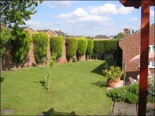 Side Garden