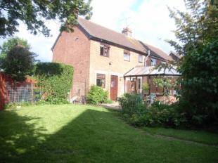 Rear Aspect