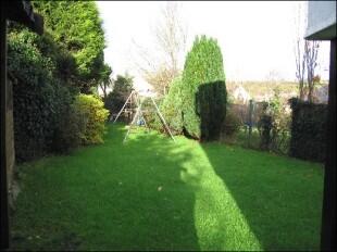 Back Garden