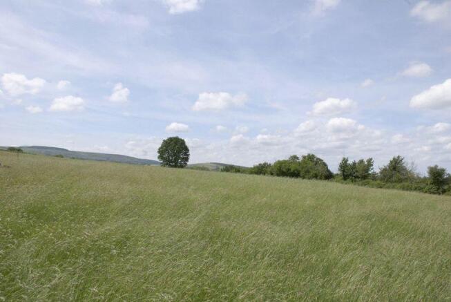 Pasture