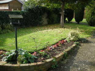 Photo 8