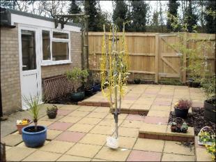 Photo 5