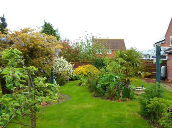 Back Garden