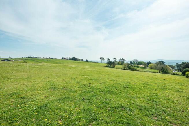 Fields_1.jpg