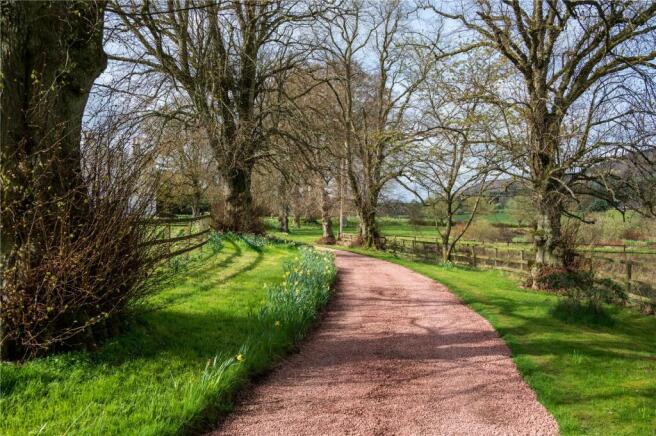 Driveway