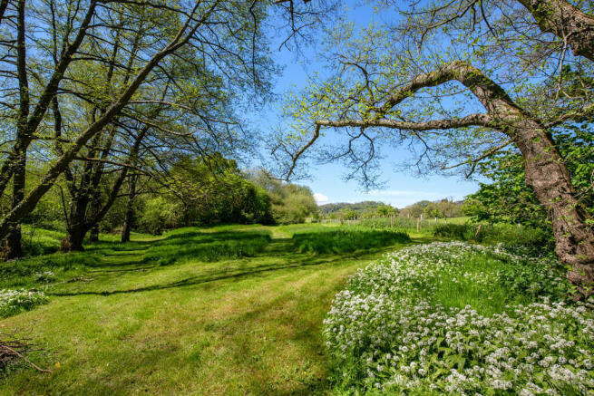 Grounds