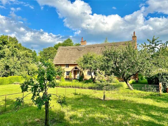 Orchard