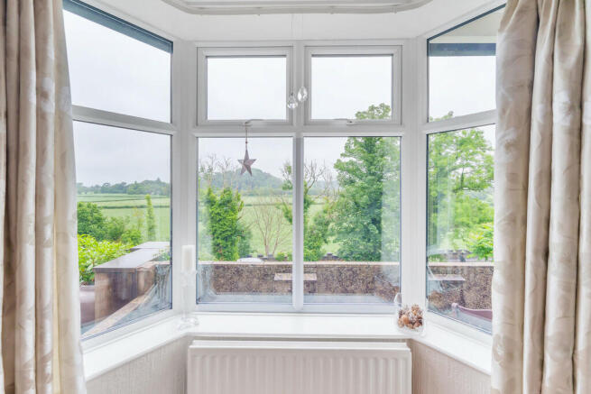 Bay Window
