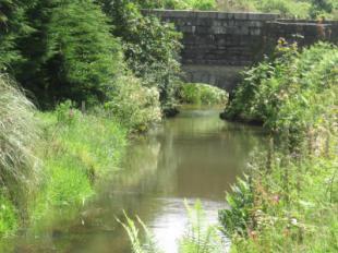River 1