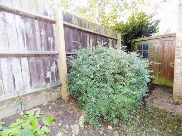 Side Shed