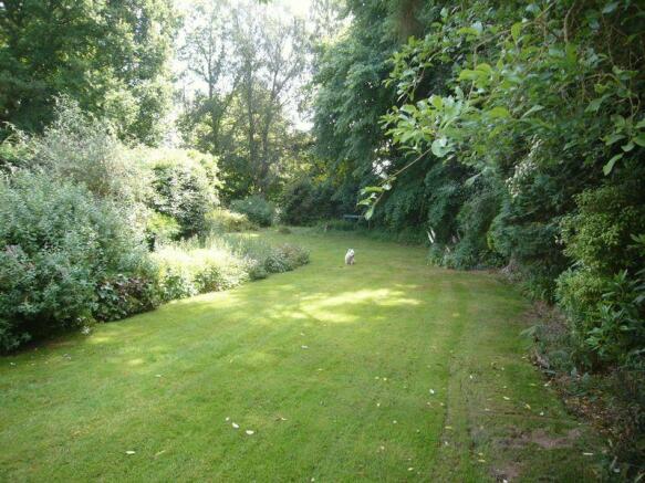 Garden 2