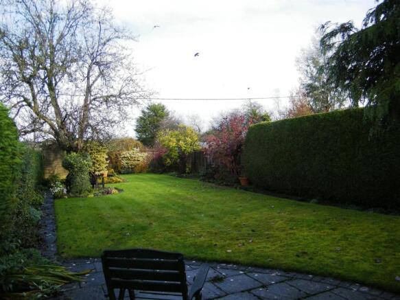 garden 2.JPG