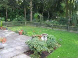 Patio Area