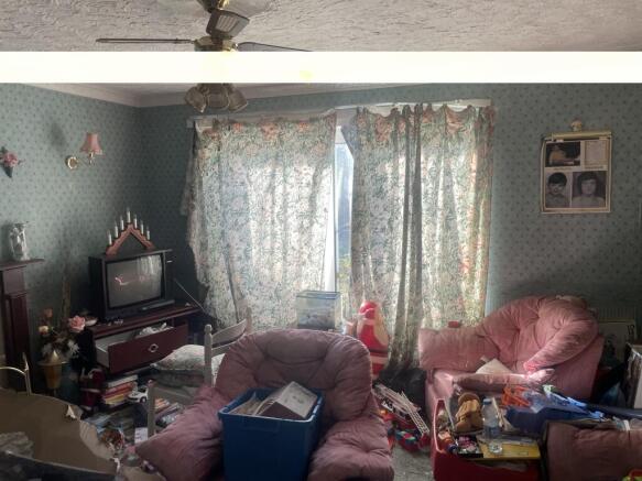 IMG 7291 T202610141628.jpeg