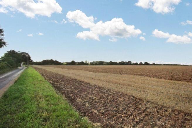 Adjacent Fields