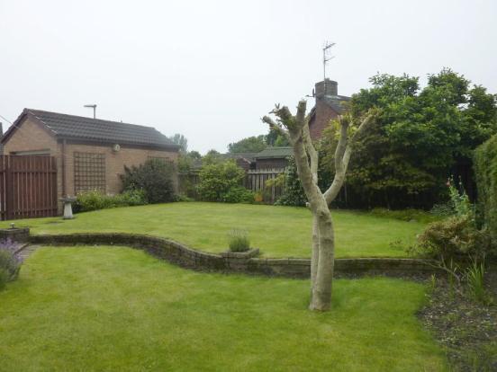 Rear Garden (1)
