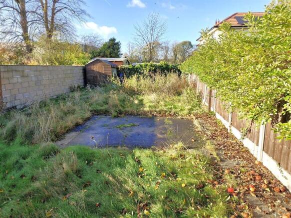 25 Dear Street - Garden.jpg