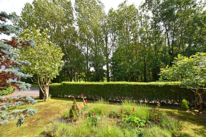 4 bed Detached to rent Image 11