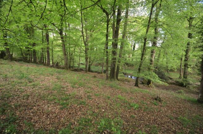 Rackenford, Seddons