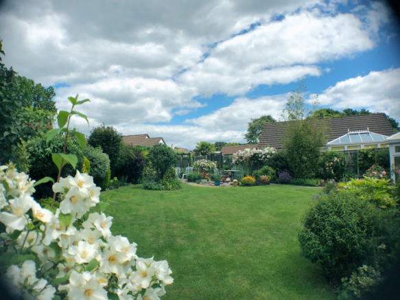 Garden 1.png