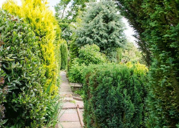 Garden aspect 3