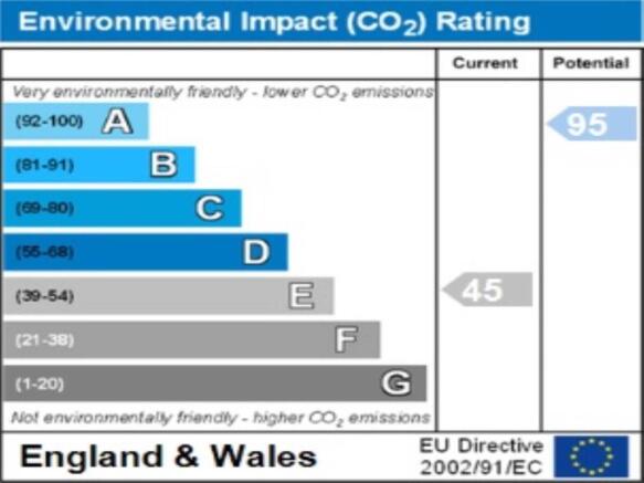 ENVIRONMENTAL  IMPAC
