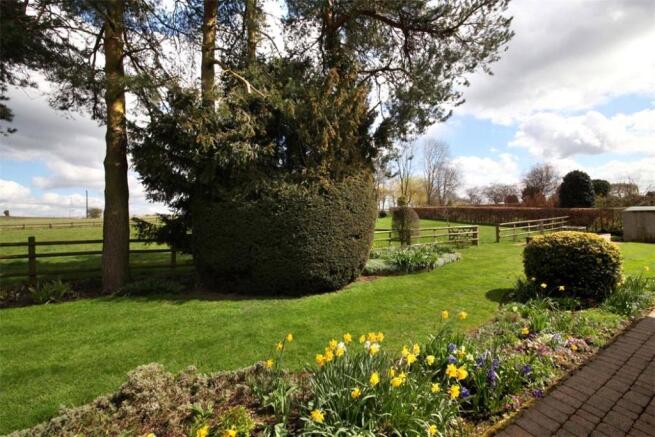 Woodrow: Garden