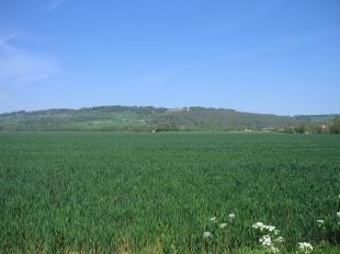 Surrounding Area