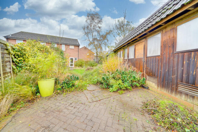 Back Garden 2