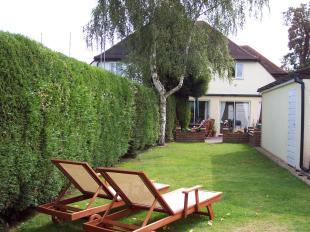 back garden