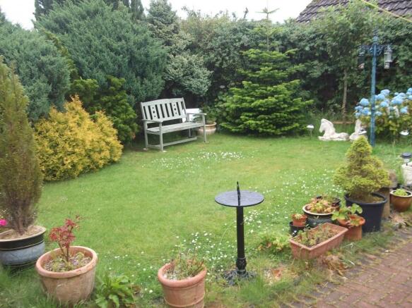 Back Garden