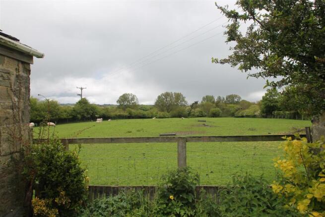 garden to fields.JPG
