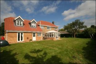 Rear Elevation 1