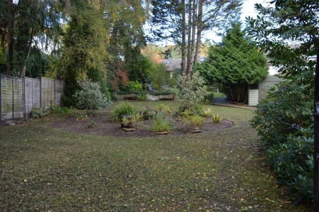 Photo 21