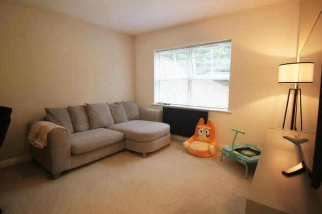 Living room 1.JPG