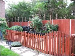 View of Rear Garden