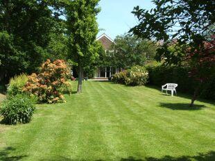Lawn