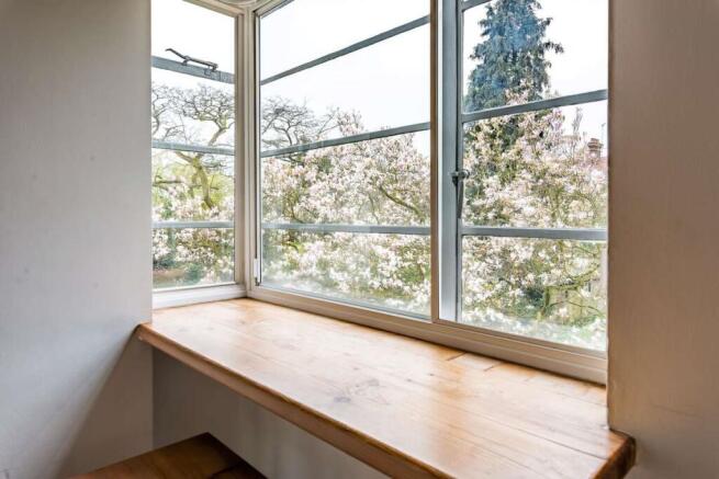 Window