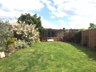 Garden 2