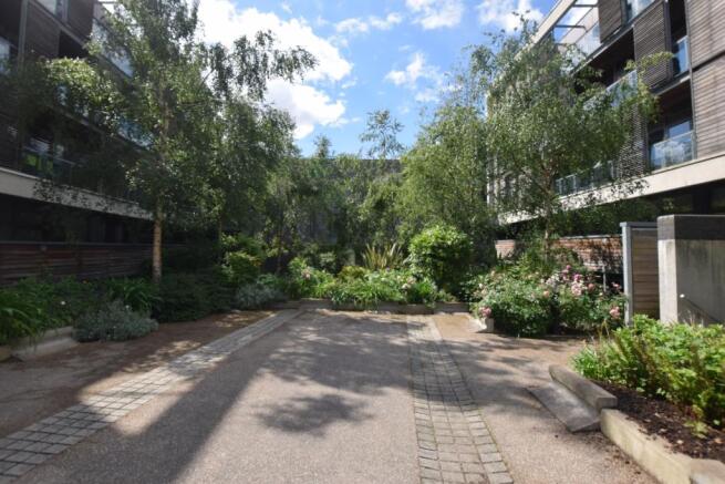 Communal garden 2