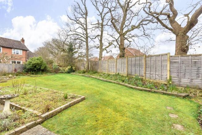 Back garden