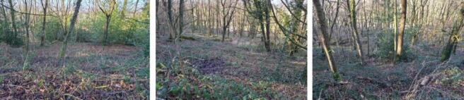 123 T202507061819.jpg