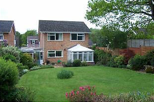 Back Garden