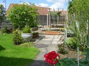 Garden 1