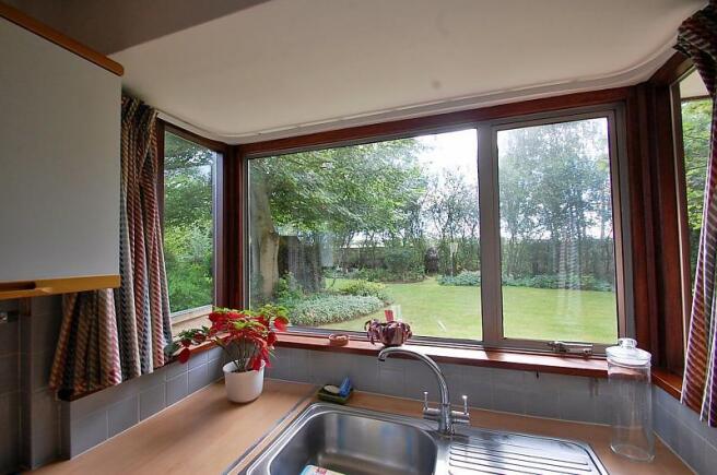 view from Kitchen