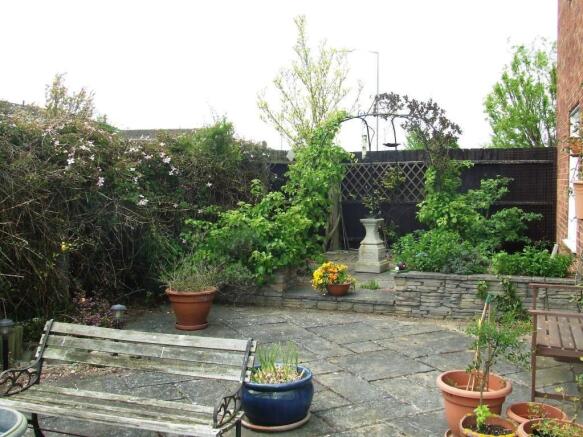 Photo 11